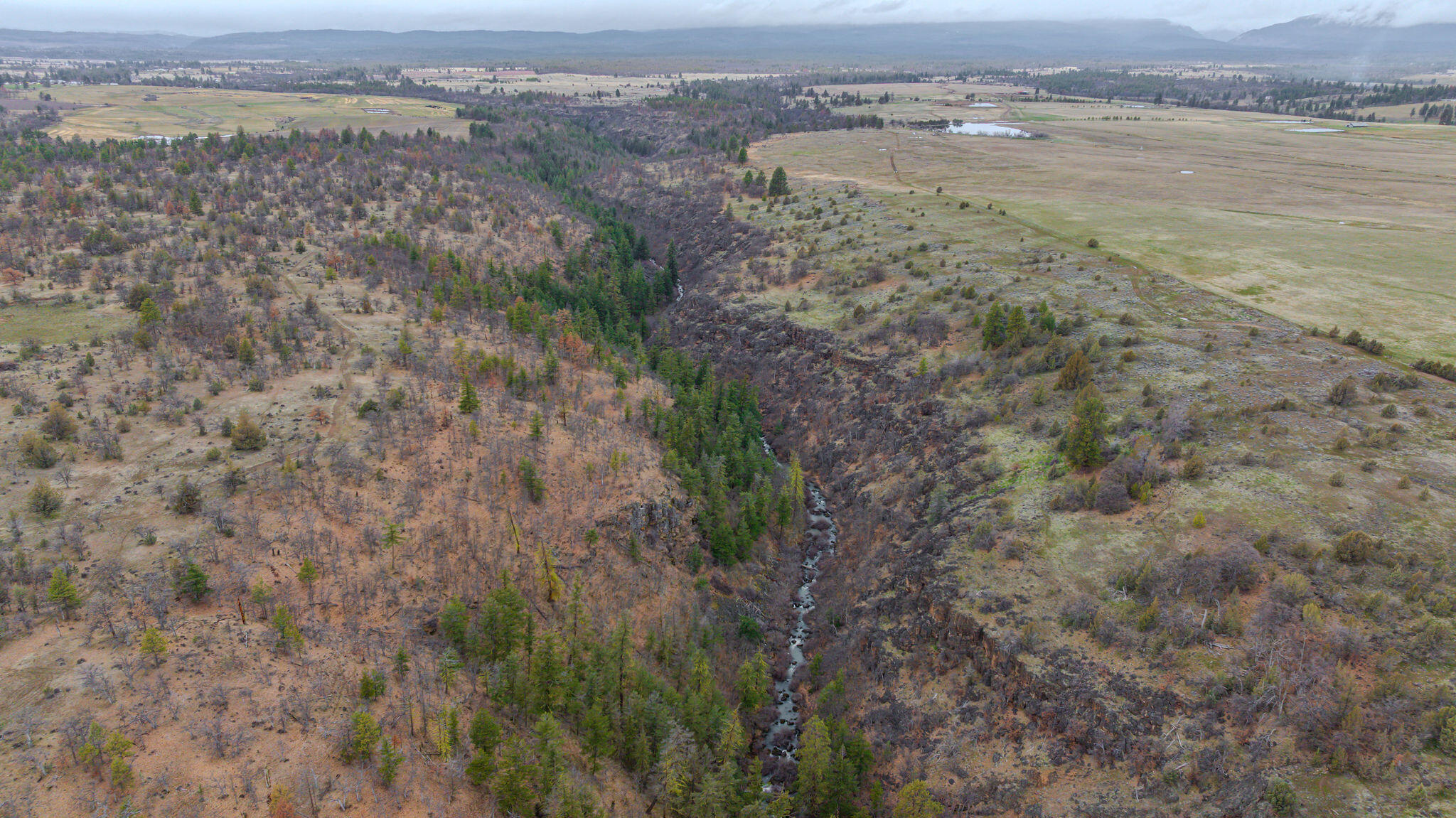 56100 Smock Road Tygh Valley, OR 97063 - Photo 71 of 122 DJI_20250304111041_0702_D-HDR