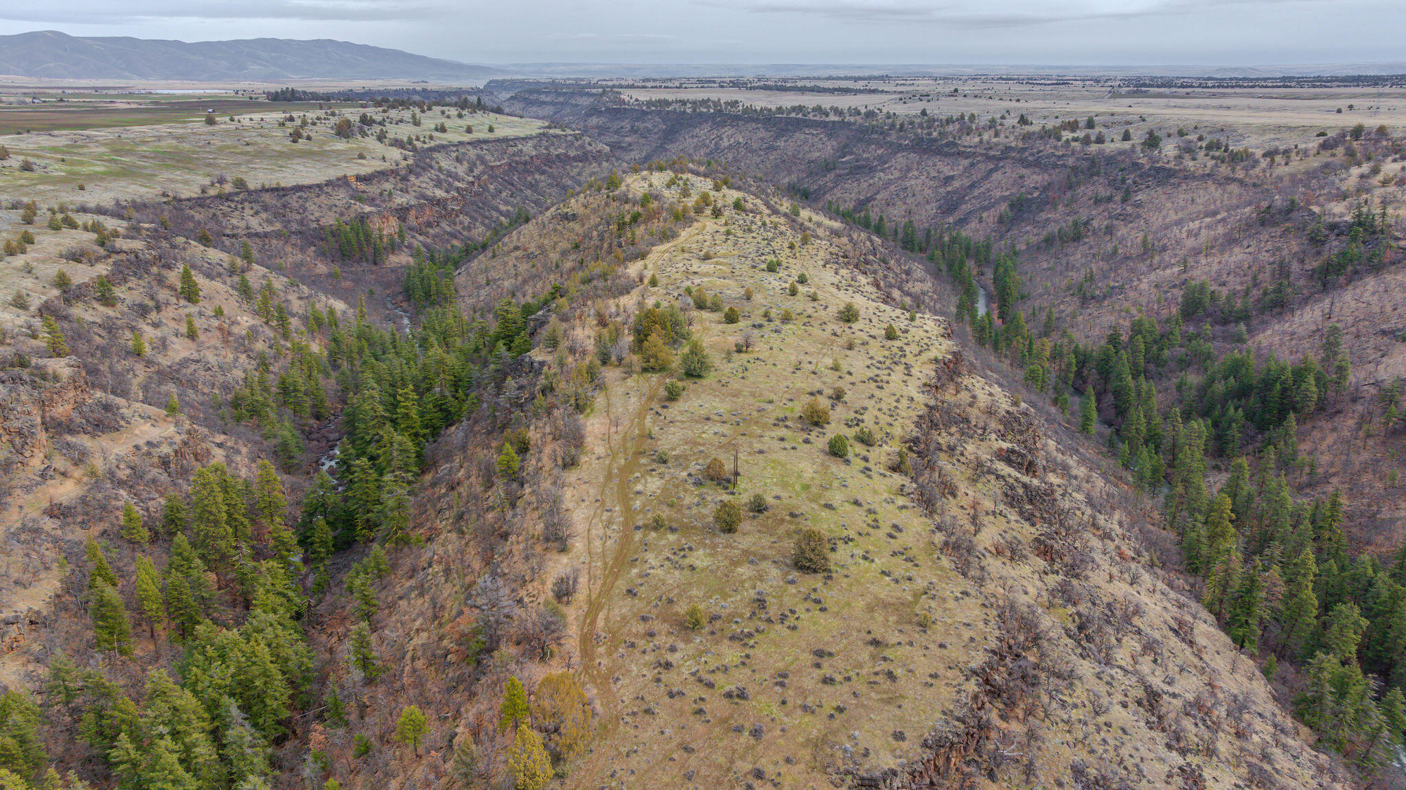 56100 Smock Road Tygh Valley, OR 97063 - Photo 76 of 122 DJI_20250304112610_0724_D-HDR
