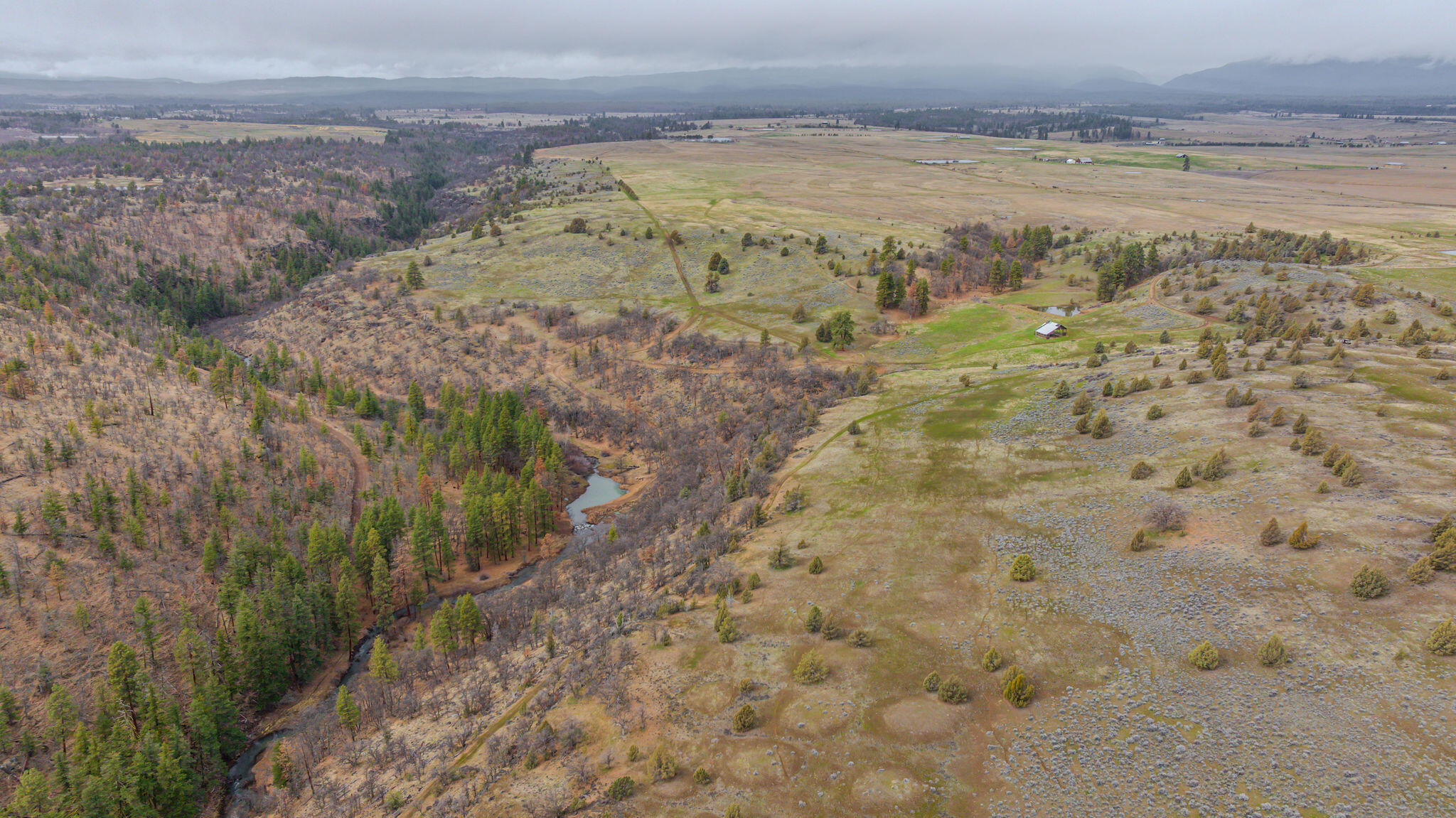 56100 Smock Road Tygh Valley, OR 97063 - Photo 81 of 122 DJI_20250304112749_0741_D-HDR