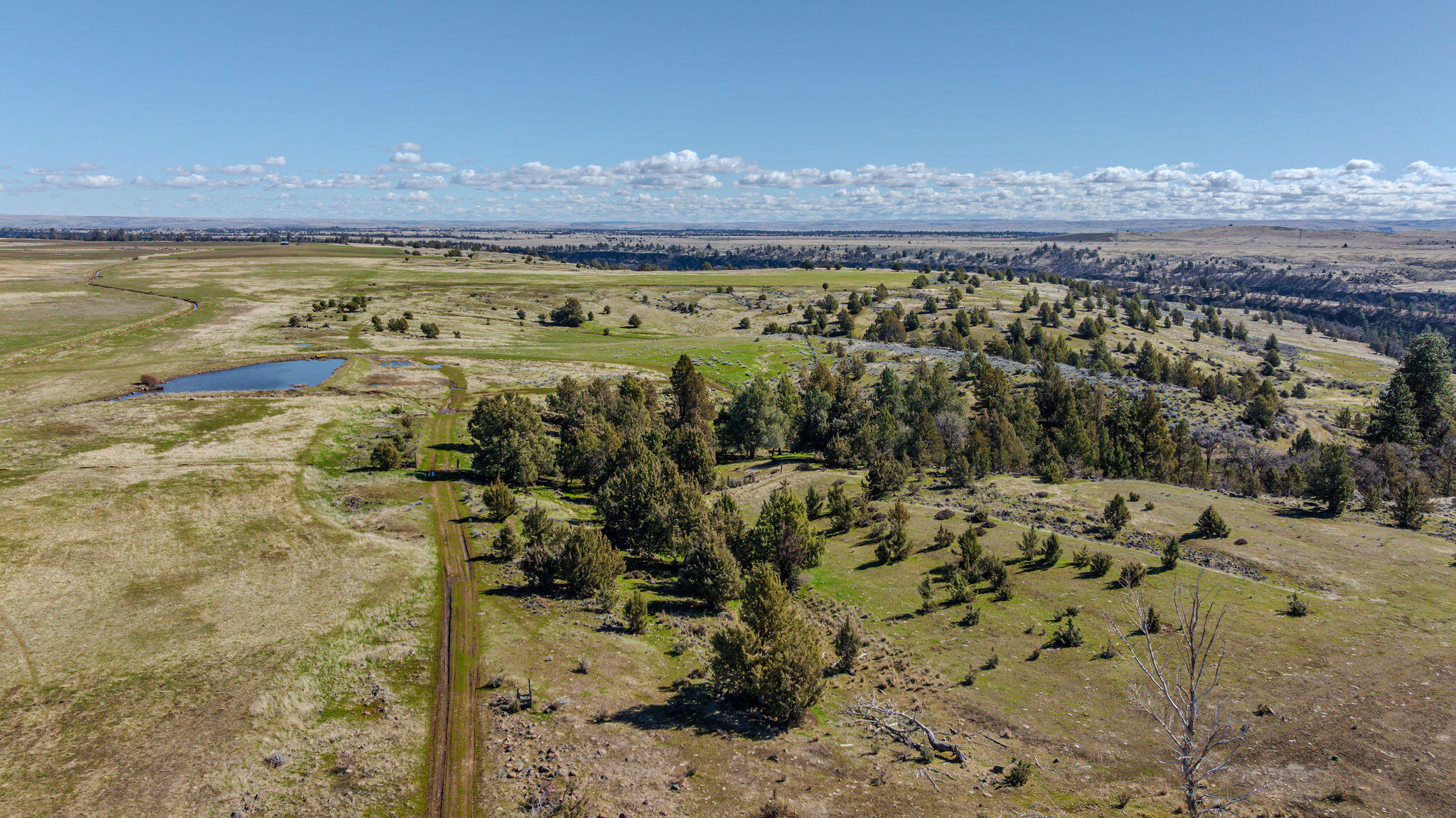 56100 Smock Road Tygh Valley, OR 97063 - Photo 82 of 122 DJI_20250306114229_0001_D-HDR