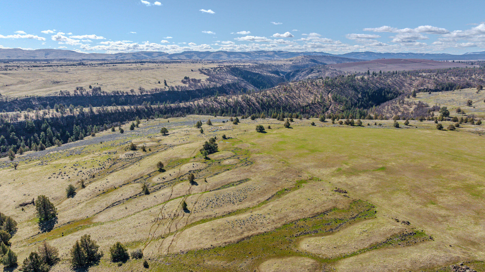 56100 Smock Road Tygh Valley, OR 97063 - Photo 85 of 122 DJI_20250306114532_0013_D-HDR