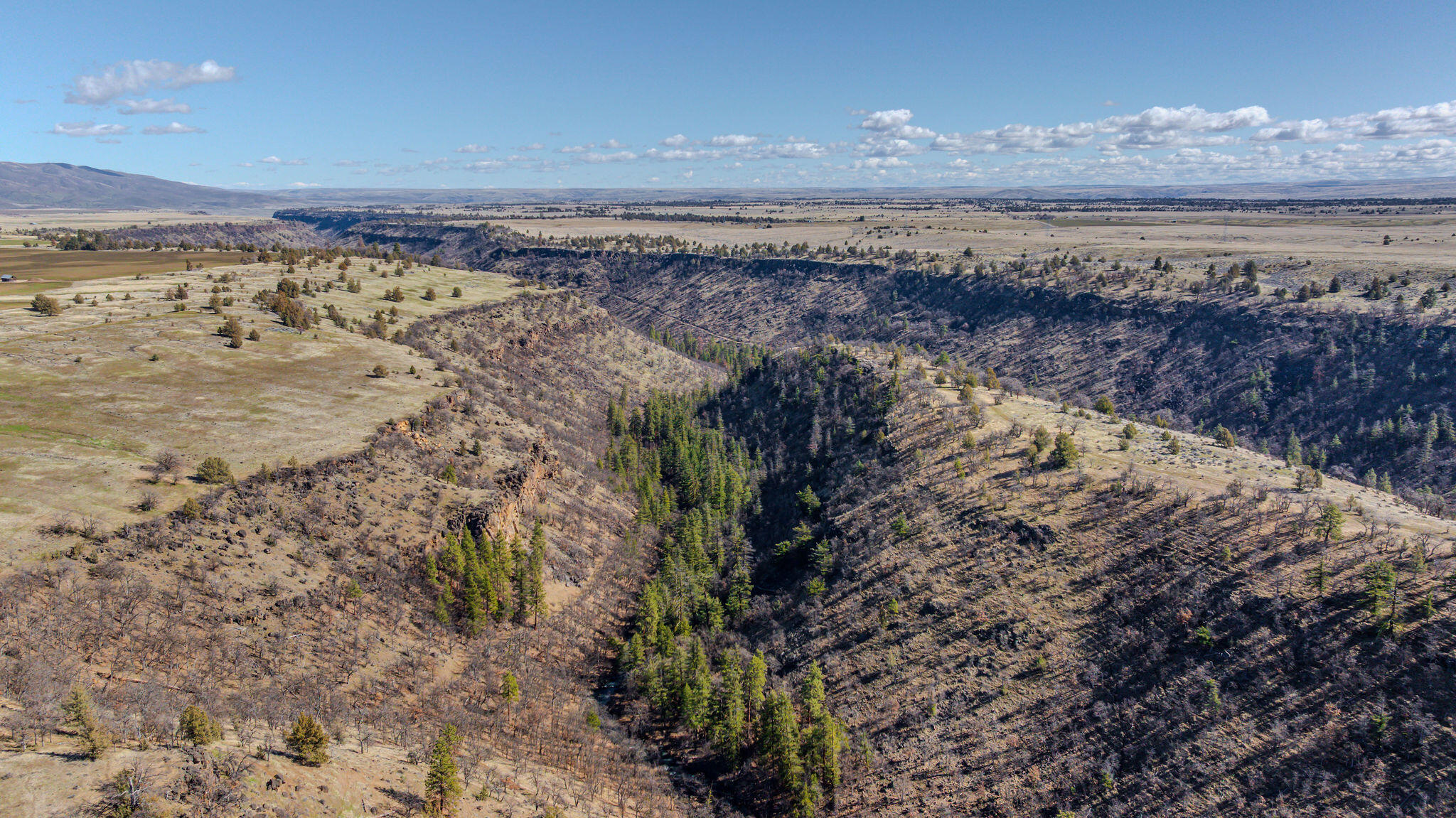 56100 Smock Road Tygh Valley, OR 97063 - Photo 87 of 122 DJI_20250306114627_0021_D-HDR