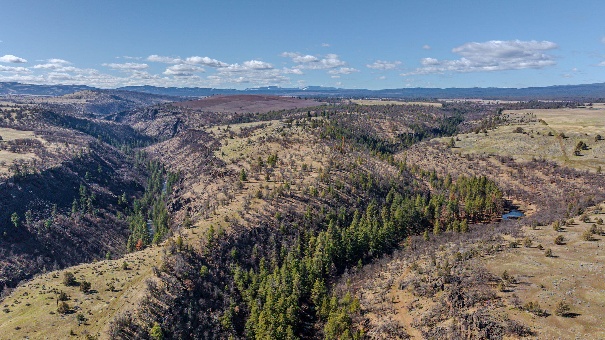 56100 Smock Road Tygh Valley, OR 97063 - Photo 88 of 122 DJI_20250306114654_0025_D-HDR