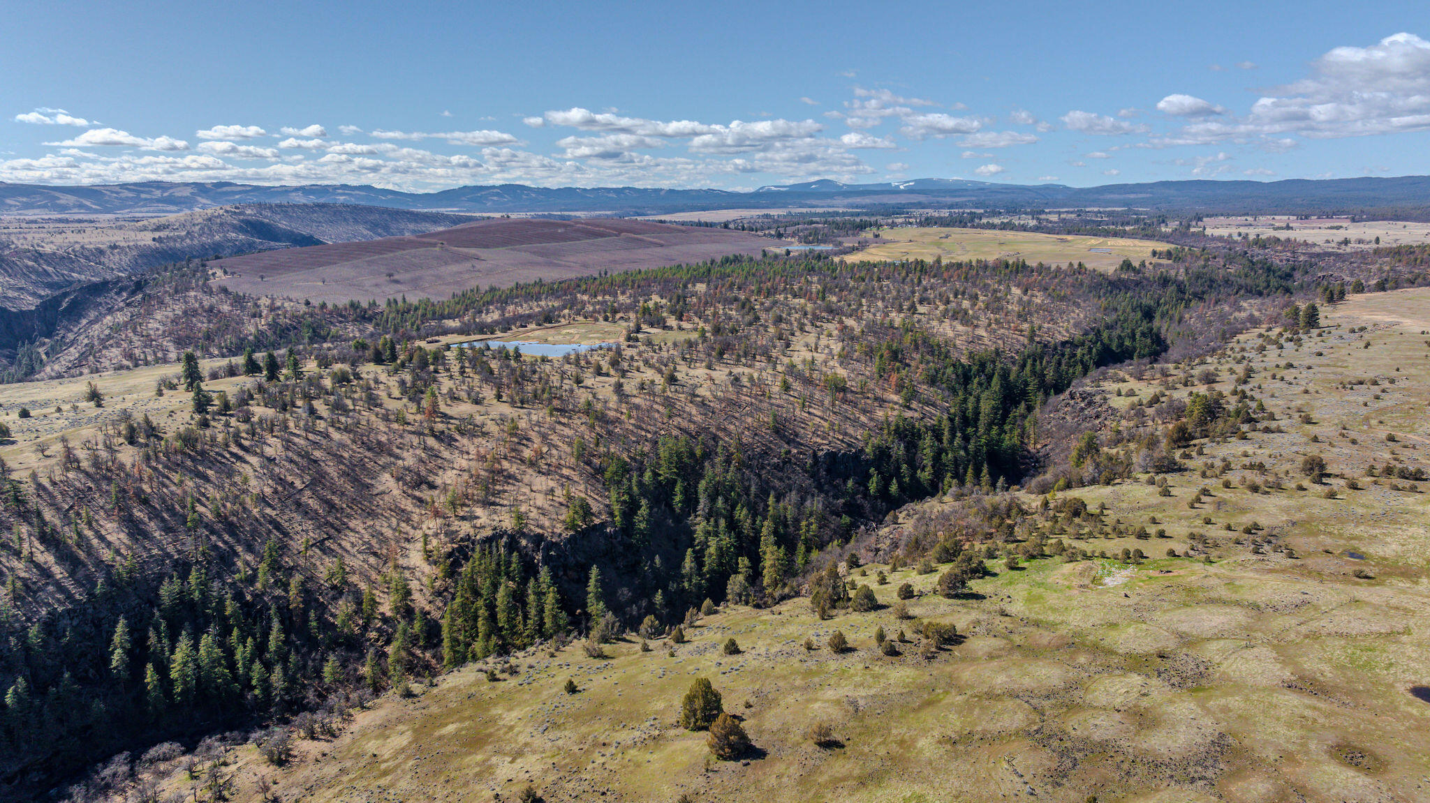56100 Smock Road Tygh Valley, OR 97063 - Photo 96 of 122 DJI_20250306115014_0054_D-HDR
