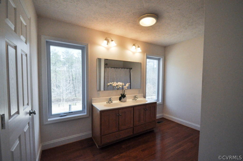 20348 Ben Gayle Road Beaverdam, VA 23015 - Photo 12 of 24 a bathroom with a double vanity sink and a mirror