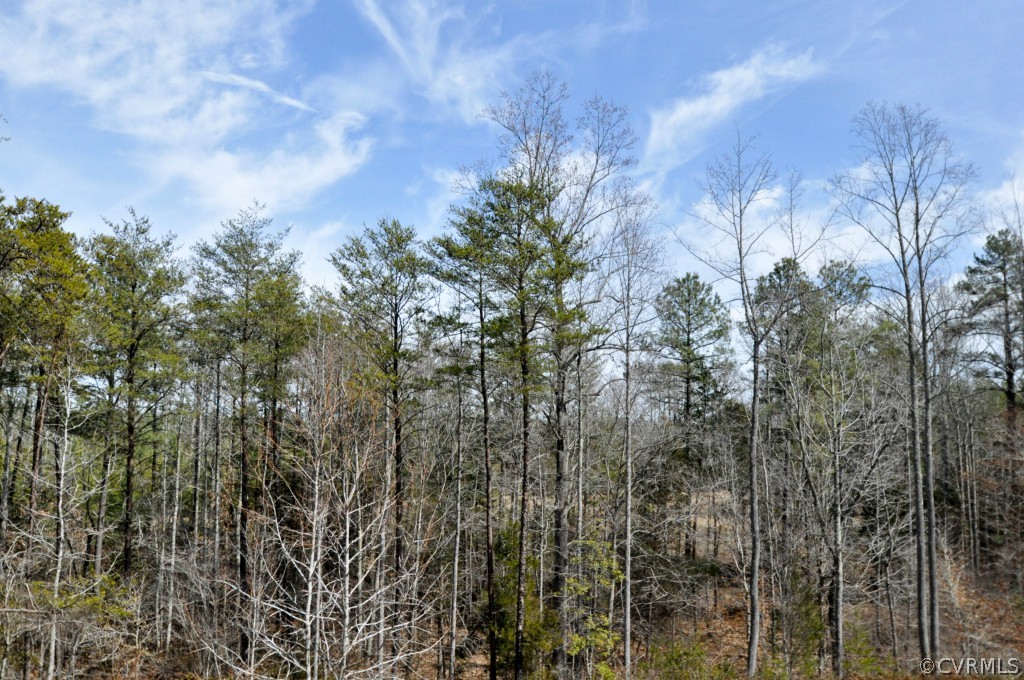 20348 Ben Gayle Road Beaverdam, VA 23015 - Photo 24 of 24 a view of a forest with a tree