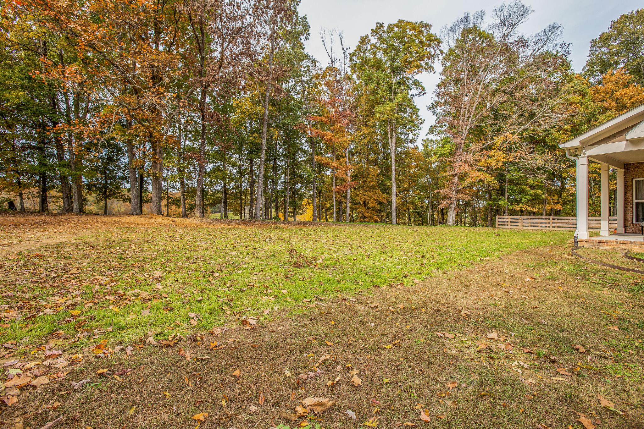 7901 Pinewood Road Fairview, TN 37062 - Photo 26 of 29 a view of yard with trees