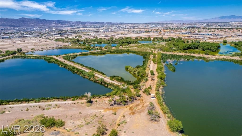 330 Spring Dove Avenue Henderson, NV 89011 - Photo 22 of 31