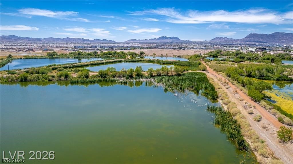 330 Spring Dove Avenue Henderson, NV 89011 - Photo 27 of 31