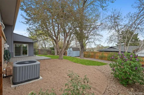 a view of a yard with a large tree