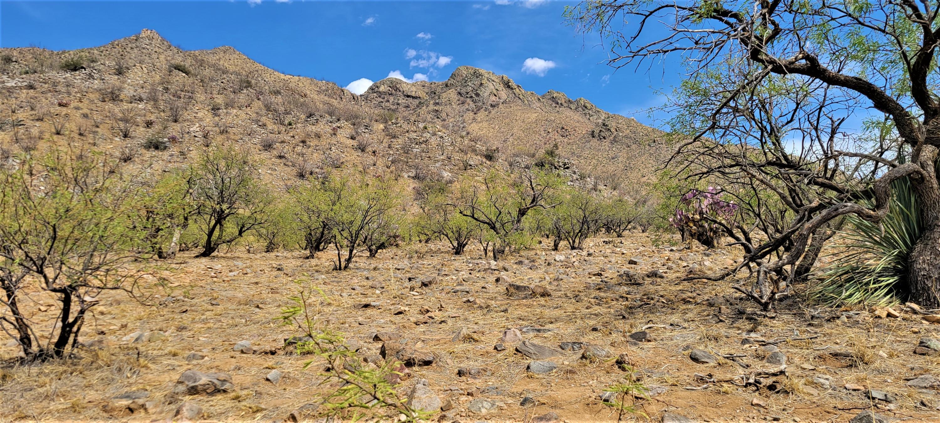 1501 Vía San Cayetano, Unit 25 Rio Rico, AZ 85648 - Photo 1 of 16