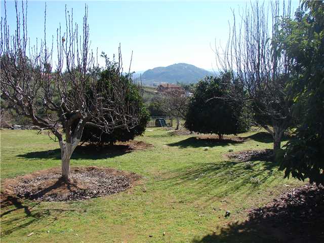 10321 El Capitan Real Road El Cajon, CA 92021 - Photo 16 of 18 Fruit Trees