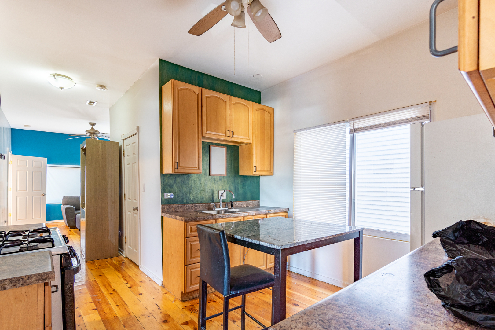 5228 South Justine Street Chicago, IL 60609 - Photo 6 of 19