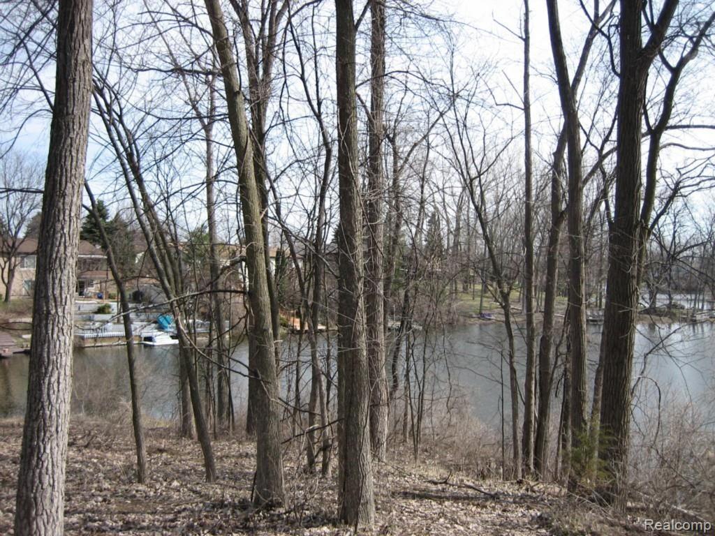 Vac Torrey Road Fenton, MI 48430 - Photo 10 of 12 IMG_8366.jpg