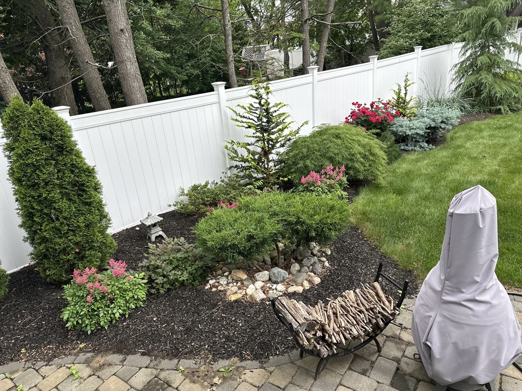 35 Hanson Road, Unit 35 Newton, MA 02459 - Photo 14 of 15 a view of a flower in a garden