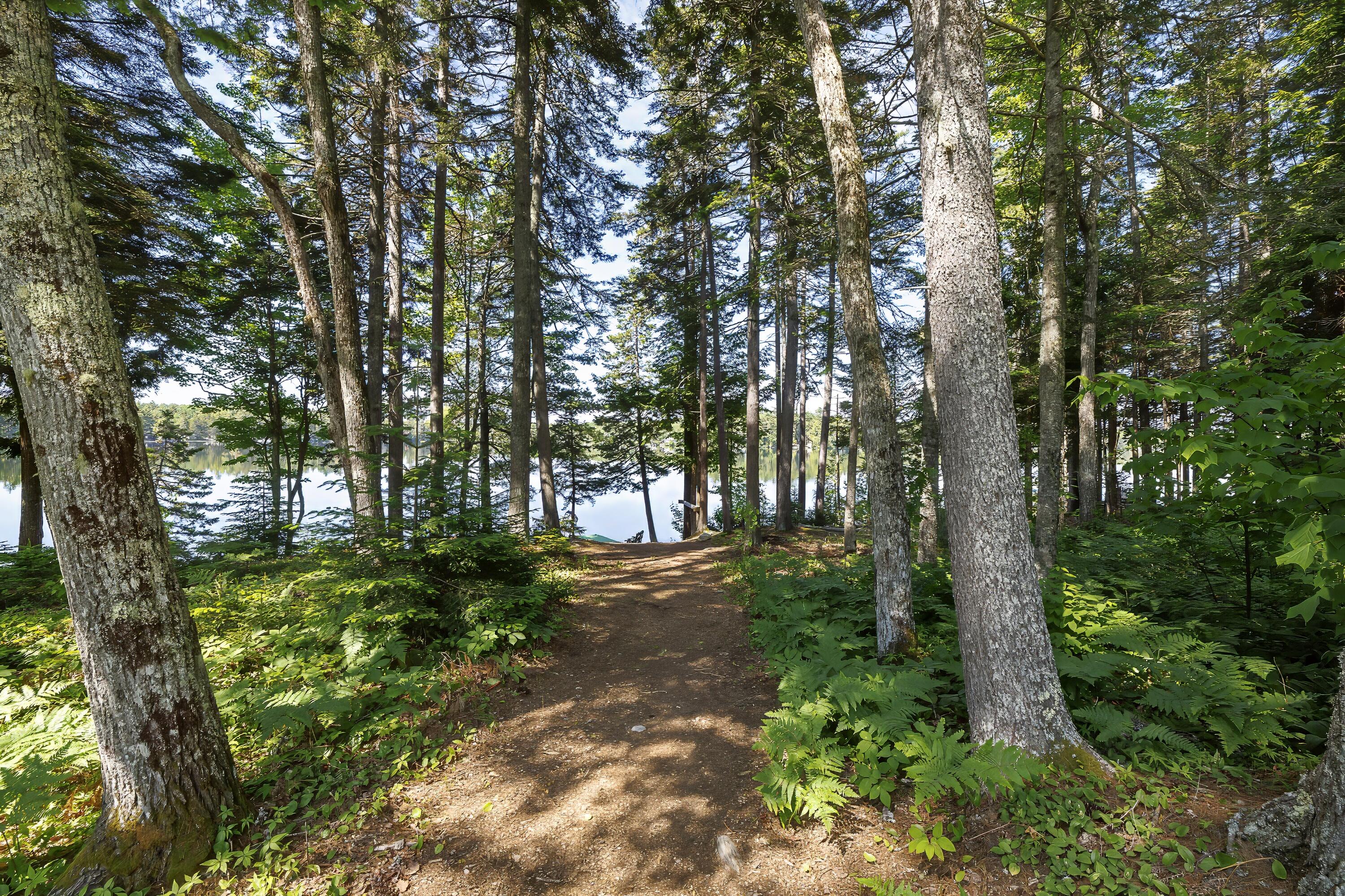 162 Georges Pond Road Franklin, ME 04634 - Photo 39 of 86 53-162 Georges Pond Road HiRes-DTP