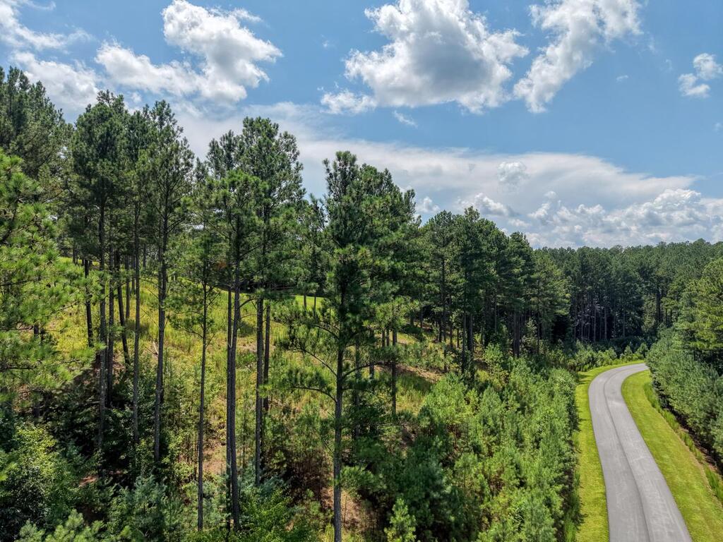 Lot 348 Loop Rise Blairsville, GA 30512 - Photo 14 of 30 Gallery Image 14