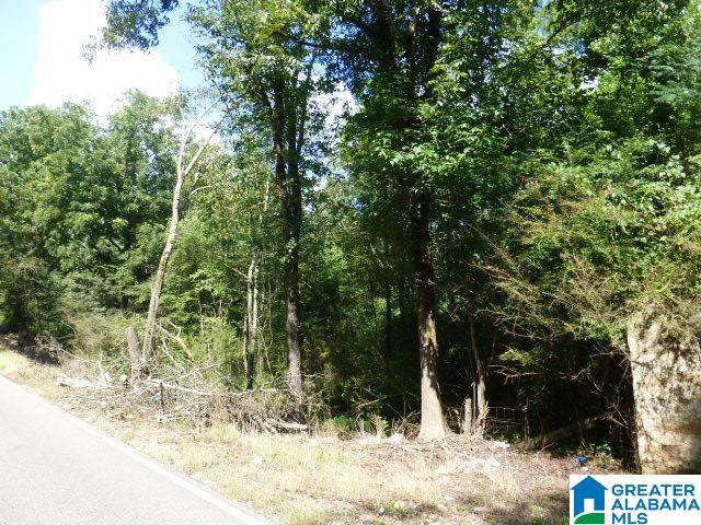 1568 Warrior Jasper Road Warrior, AL 35180 - Photo 5 of 11