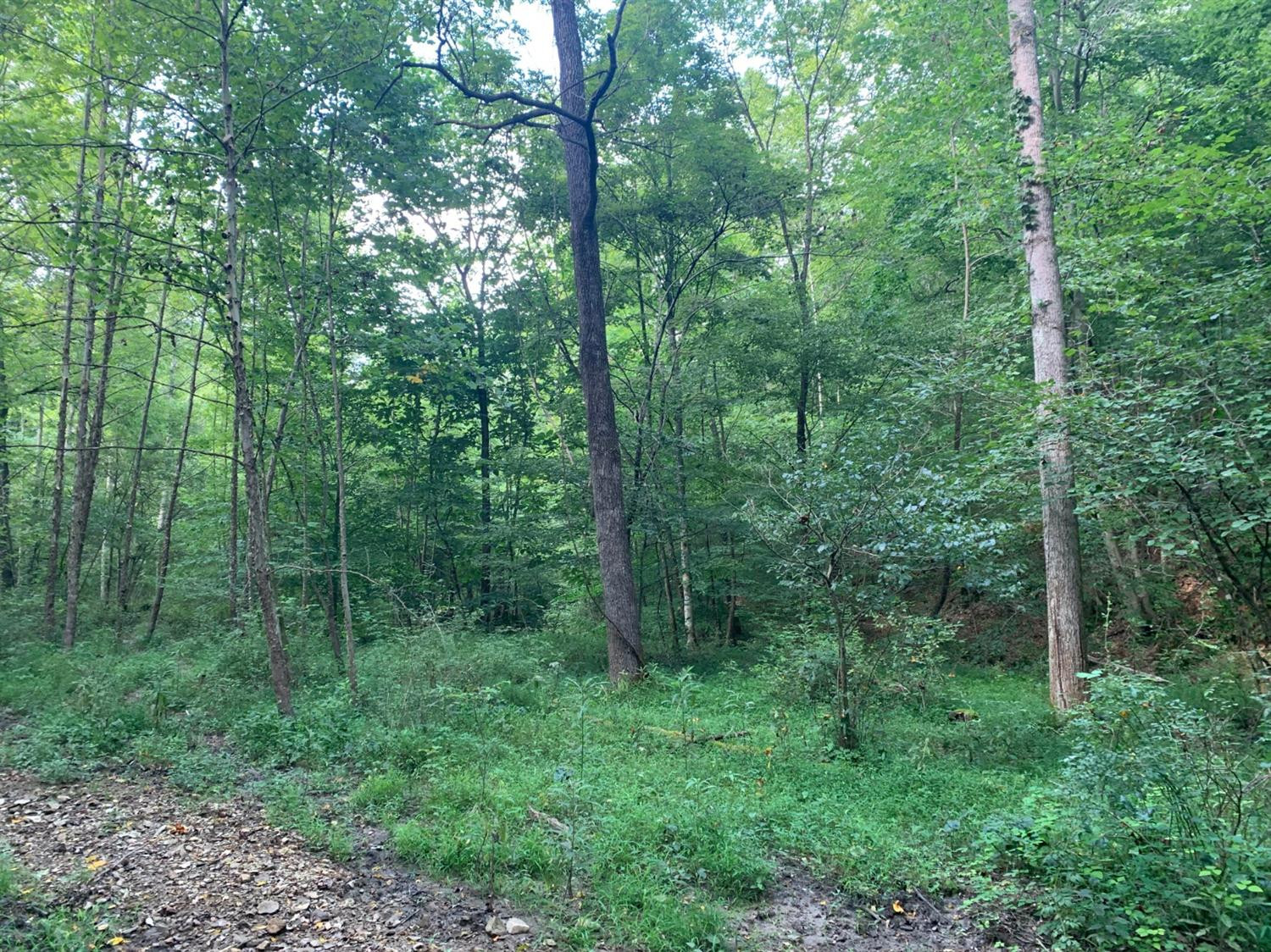 0 Upper Cane Creek Road Stanton, KY 40380 - Photo 15 of 34 Photo 16