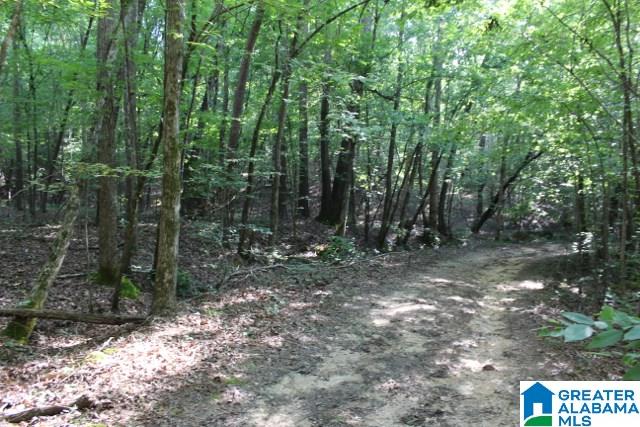 1 Benefield Gap Road Attalla, AL 35954 - Photo 38 of 50