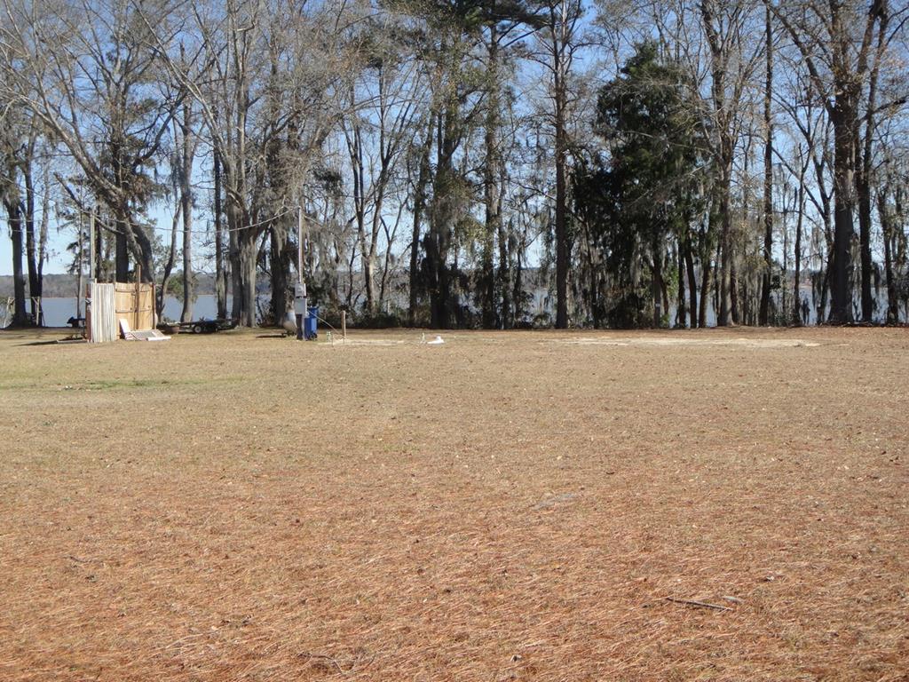 2791 Calhoun Drive Abbeville, AL 36310 - Photo 1 of 12