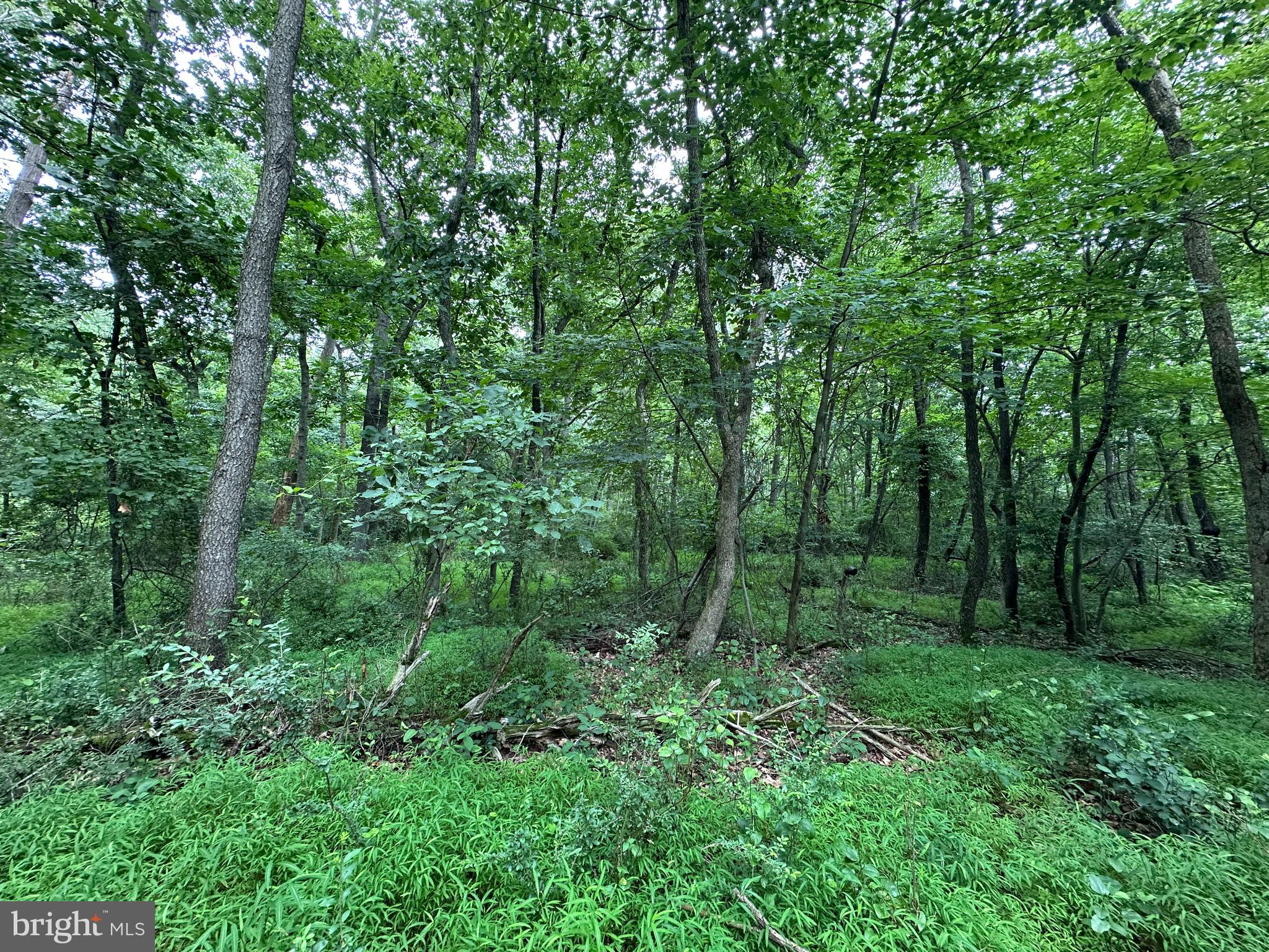 9-acres Polidor Road Waynesboro, PA 17268 - Photo 16 of 20