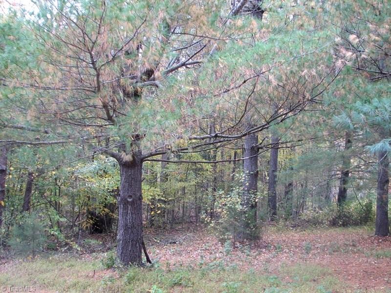 0 Mebane Oaks Road Mebane, NC 27302 - Photo 11 of 13 Gallery Image 11