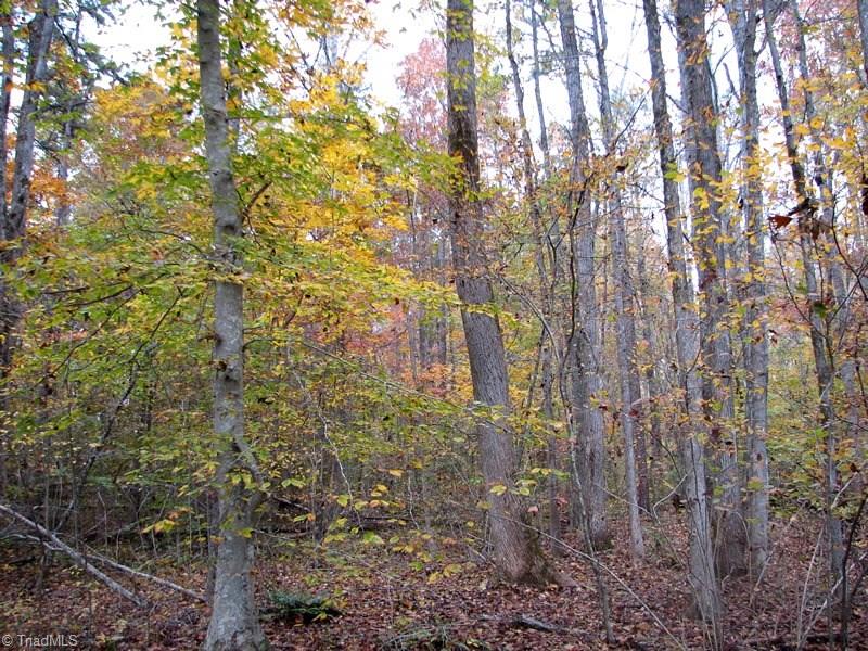 0 Mebane Oaks Road Mebane, NC 27302 - Photo 10 of 13 Gallery Image 10