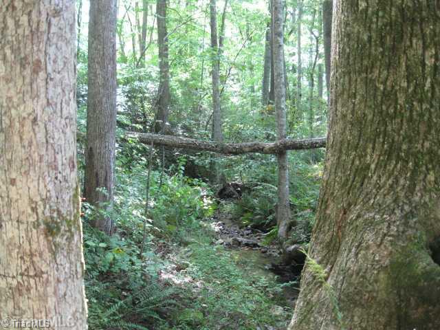 0 Long Hill Road Pilot Mountain, NC 27041 - Photo 11 of 16 Other. Creek