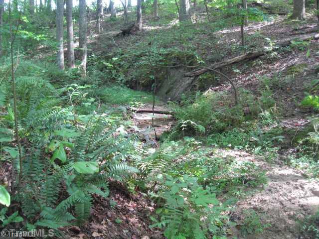 0 Long Hill Road Pilot Mountain, NC 27041 - Photo 10 of 16 Other. Creek perfect for horses