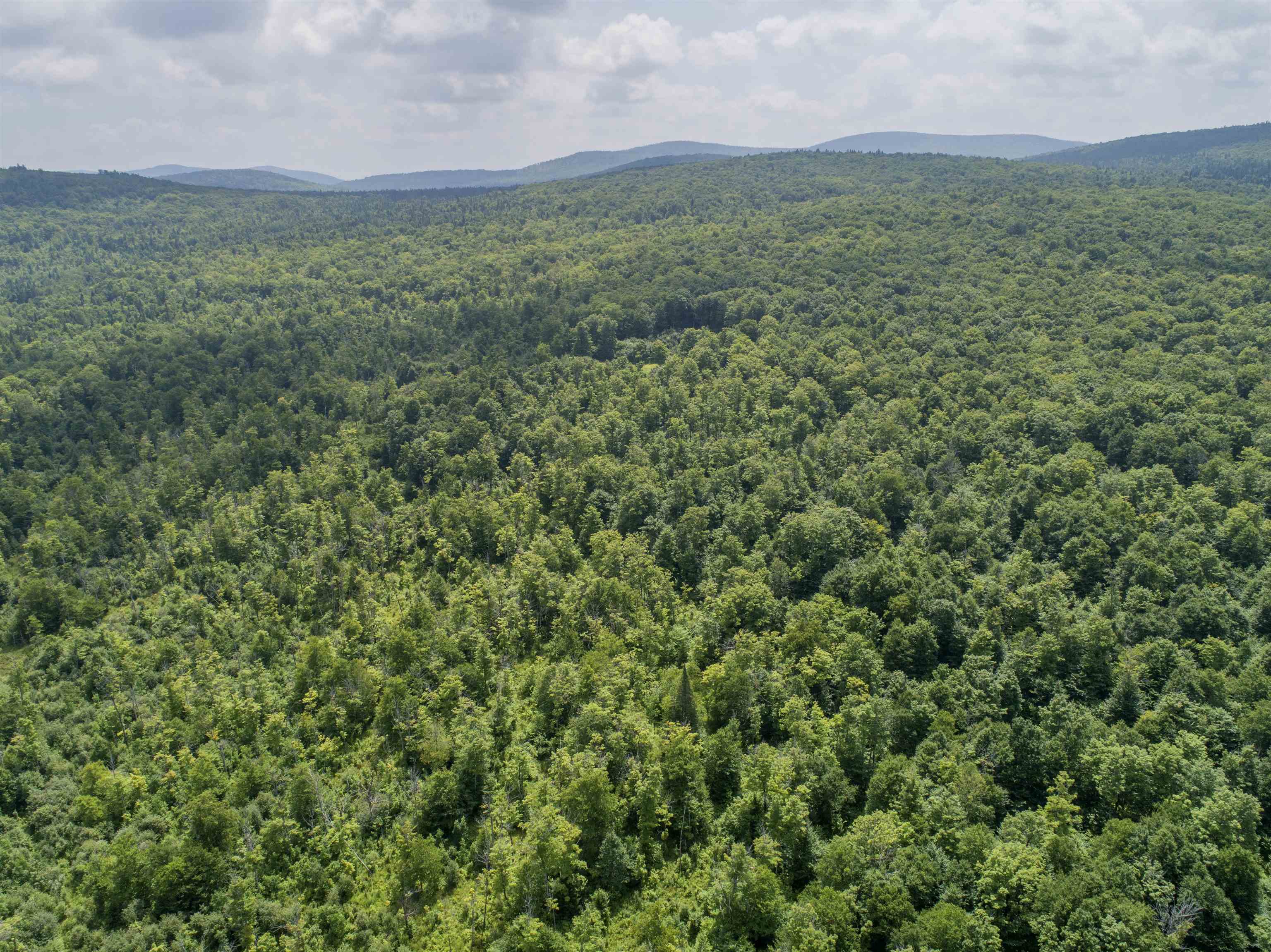 Lot 16 Dead Water Road Stewartstown, NH 03576 - Photo 11 of 15