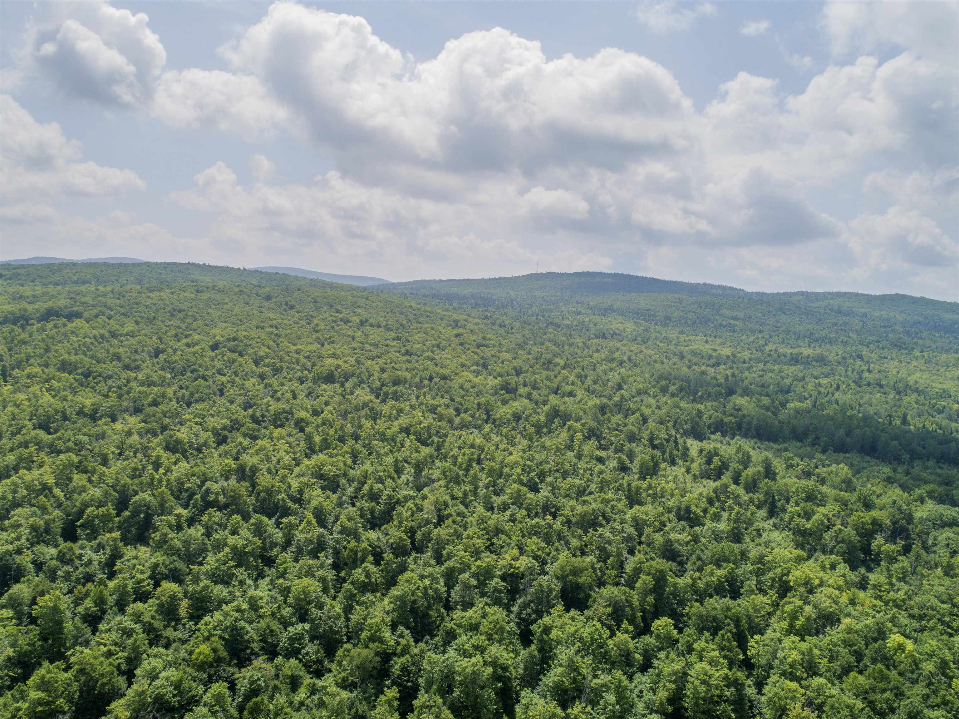 Lot 16 Dead Water Road Stewartstown, NH 03576 - Photo 13 of 15