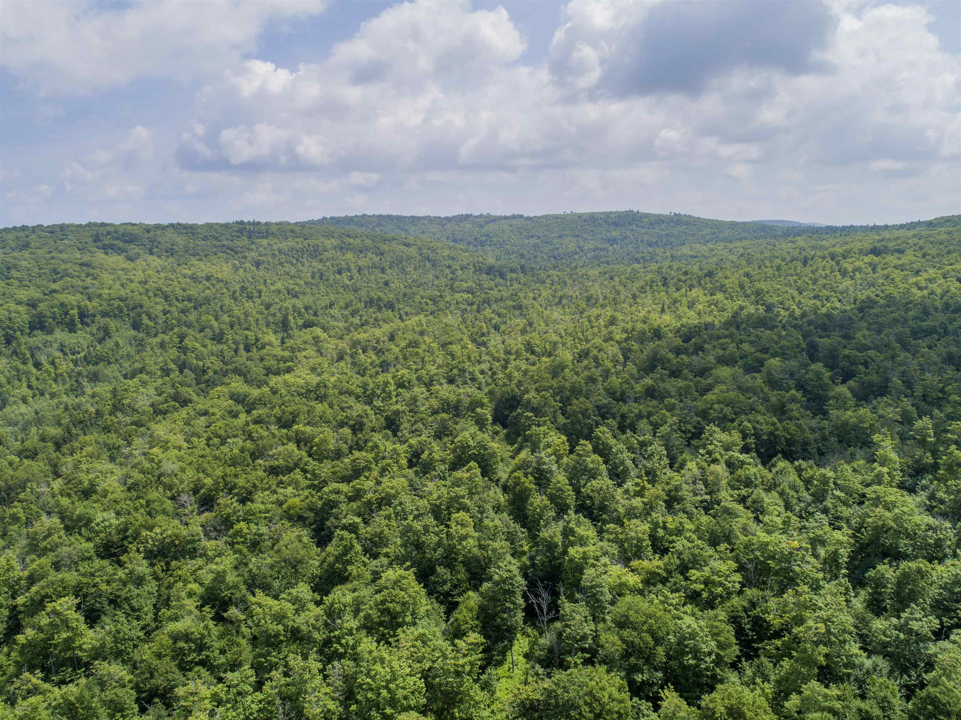 Lot 16 Dead Water Road Stewartstown, NH 03576 - Photo 14 of 15