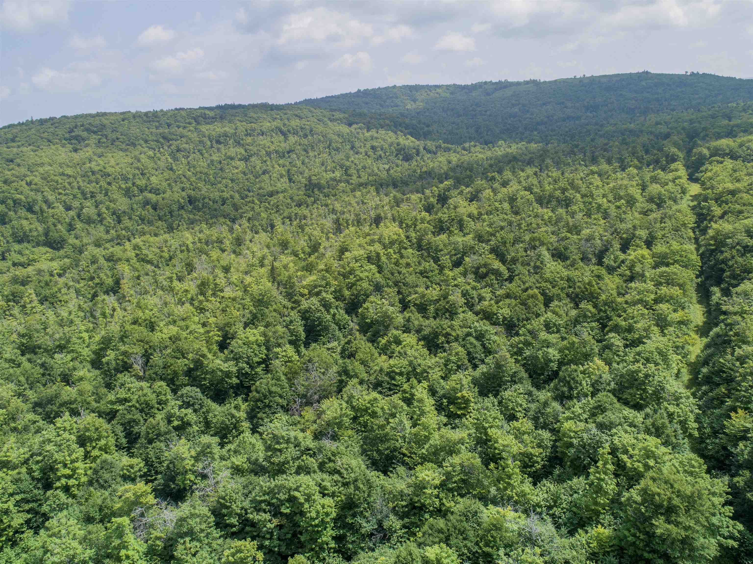 Lot 16 Dead Water Road Stewartstown, NH 03576 - Photo 4 of 15