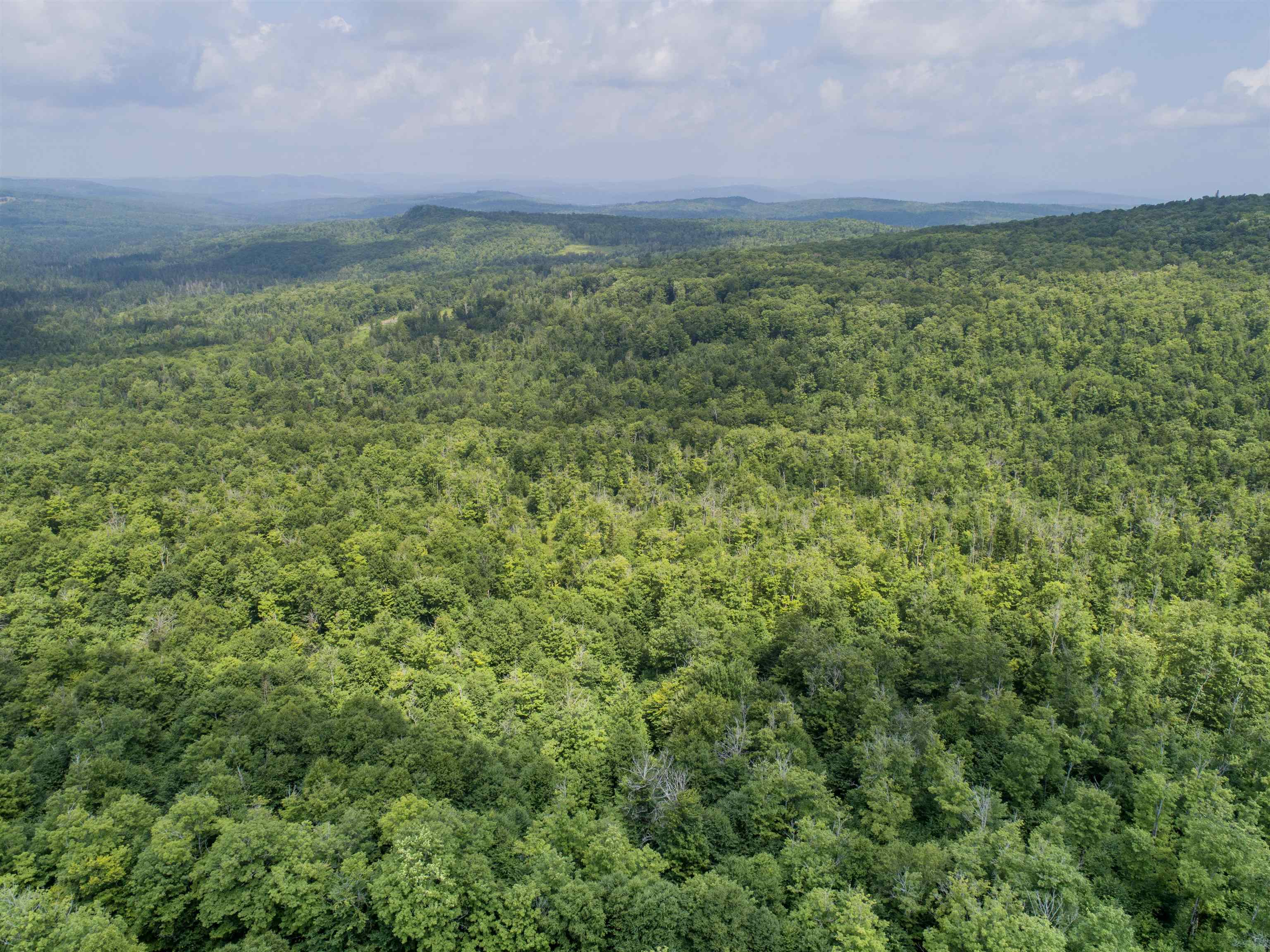 Lot 16 Dead Water Road Stewartstown, NH 03576 - Photo 8 of 15