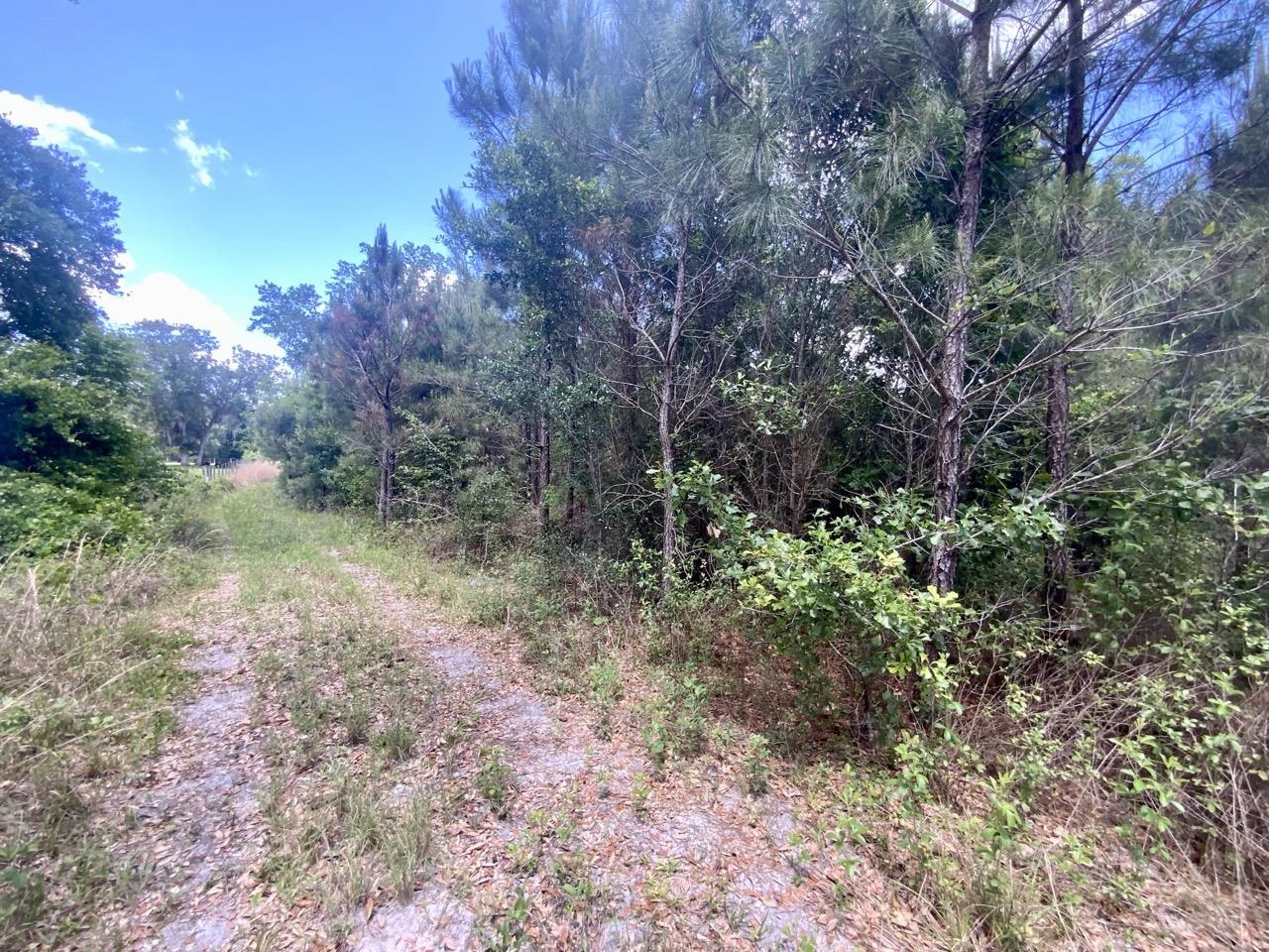 Vacant Southwest Vacant Sw Captain Brown Road Madison, FL 32340 - Photo 1 of 28 Gallery Image 1