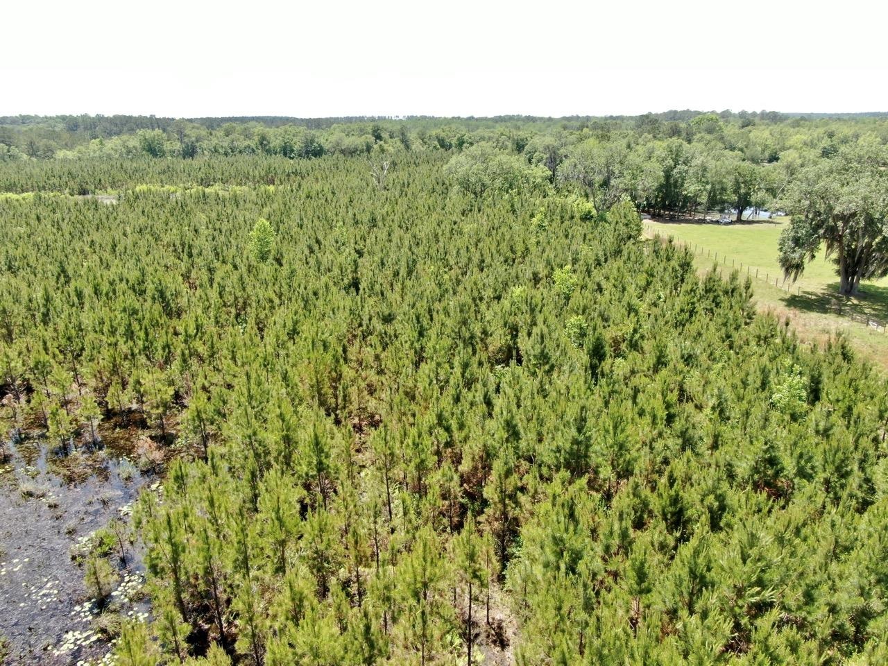 Vacant Southwest Vacant Sw Captain Brown Road Madison, FL 32340 - Photo 13 of 28 Gallery Image 13