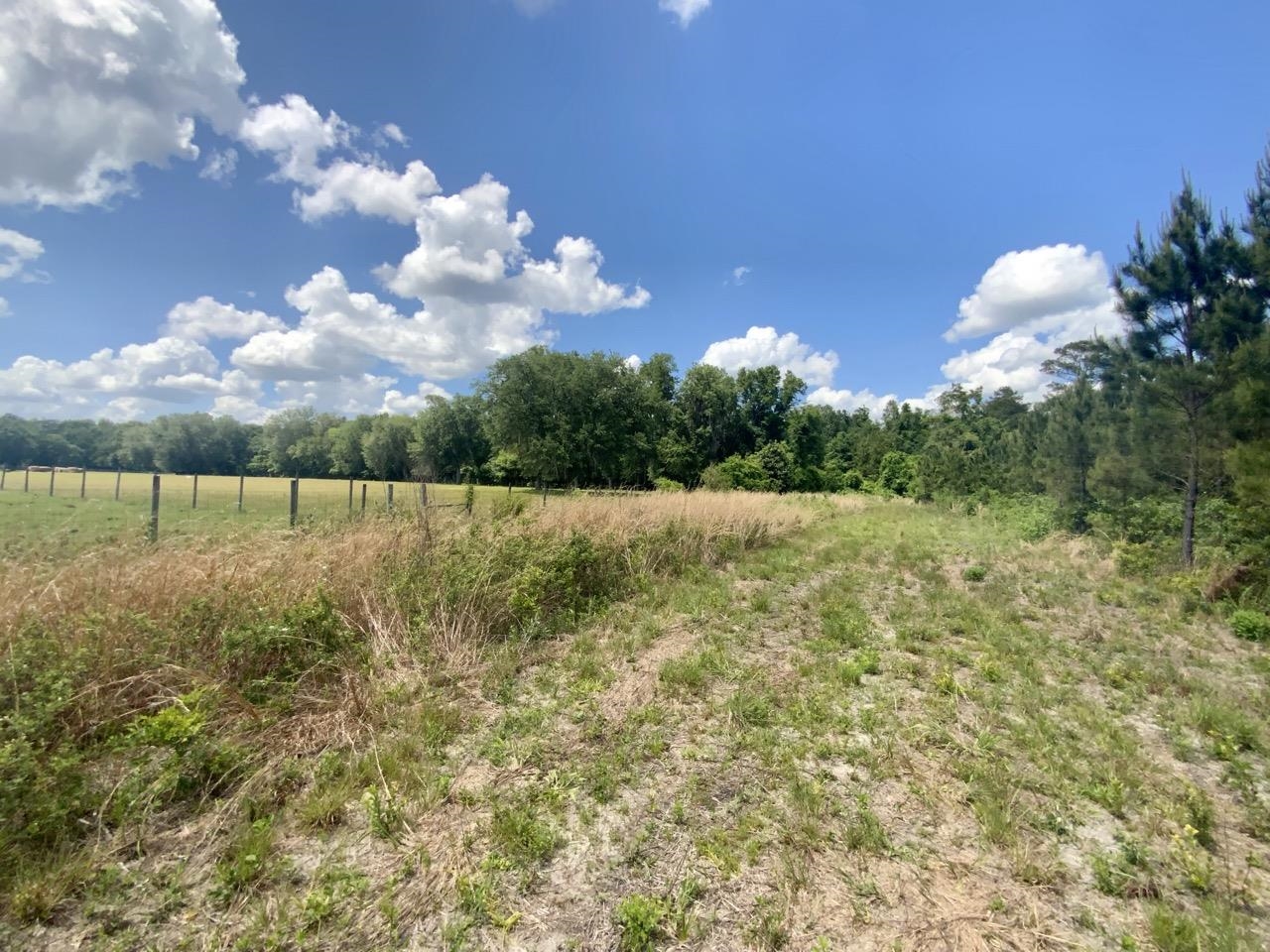 Vacant Southwest Vacant Sw Captain Brown Road Madison, FL 32340 - Photo 19 of 28 Gallery Image 19