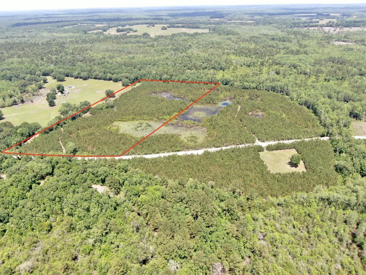 Vacant Southwest Vacant Sw Captain Brown Road Madison, FL 32340 - Photo 20 of 28 Gallery Image 20