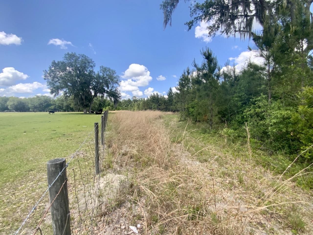 Vacant Southwest Vacant Sw Captain Brown Road Madison, FL 32340 - Photo 2 of 28 Gallery Image 2