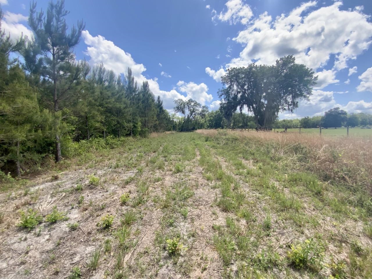Vacant Southwest Vacant Sw Captain Brown Road Madison, FL 32340 - Photo 22 of 28 Gallery Image 22