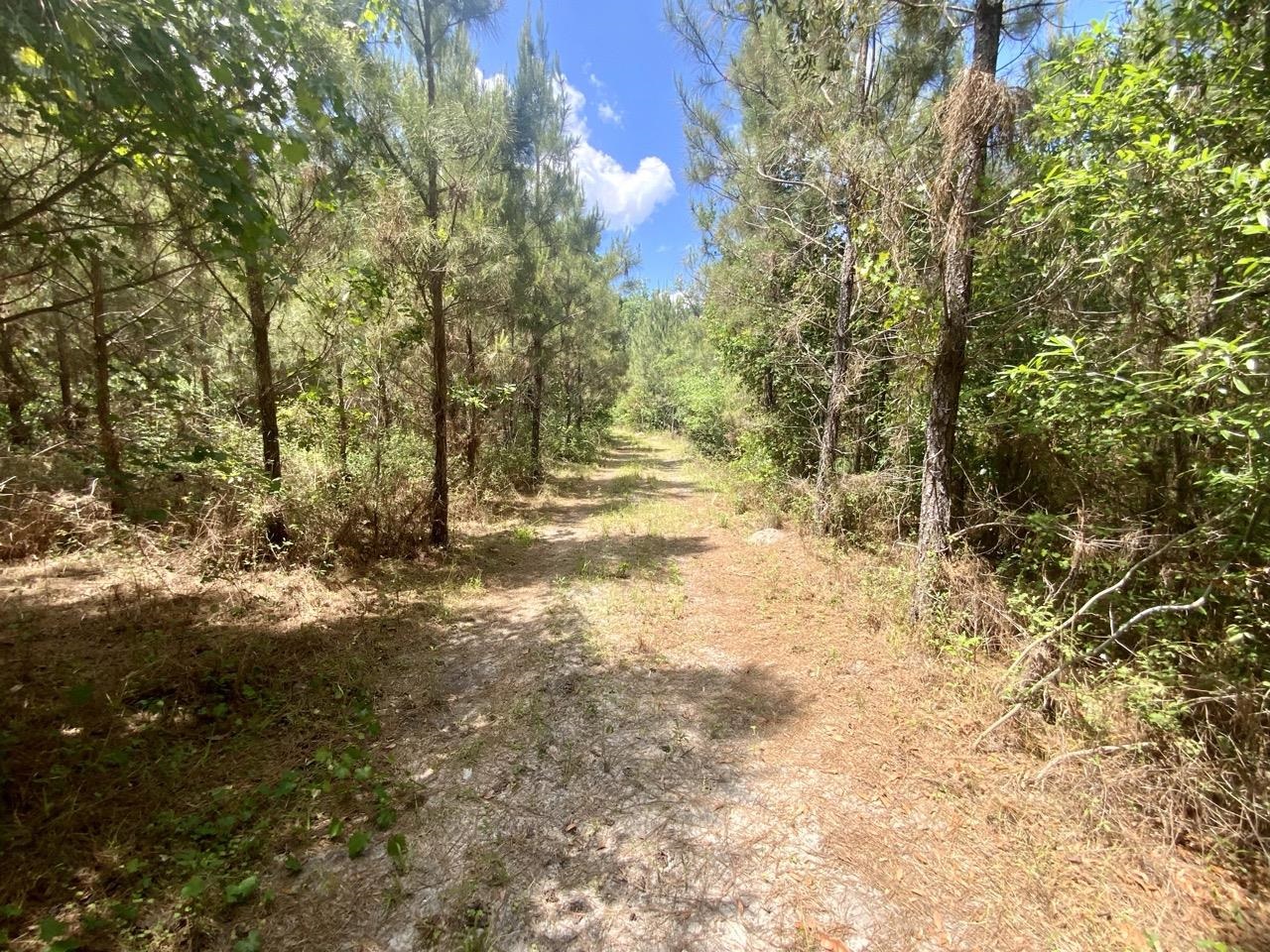 Vacant Southwest Vacant Sw Captain Brown Road Madison, FL 32340 - Photo 23 of 28 Gallery Image 23