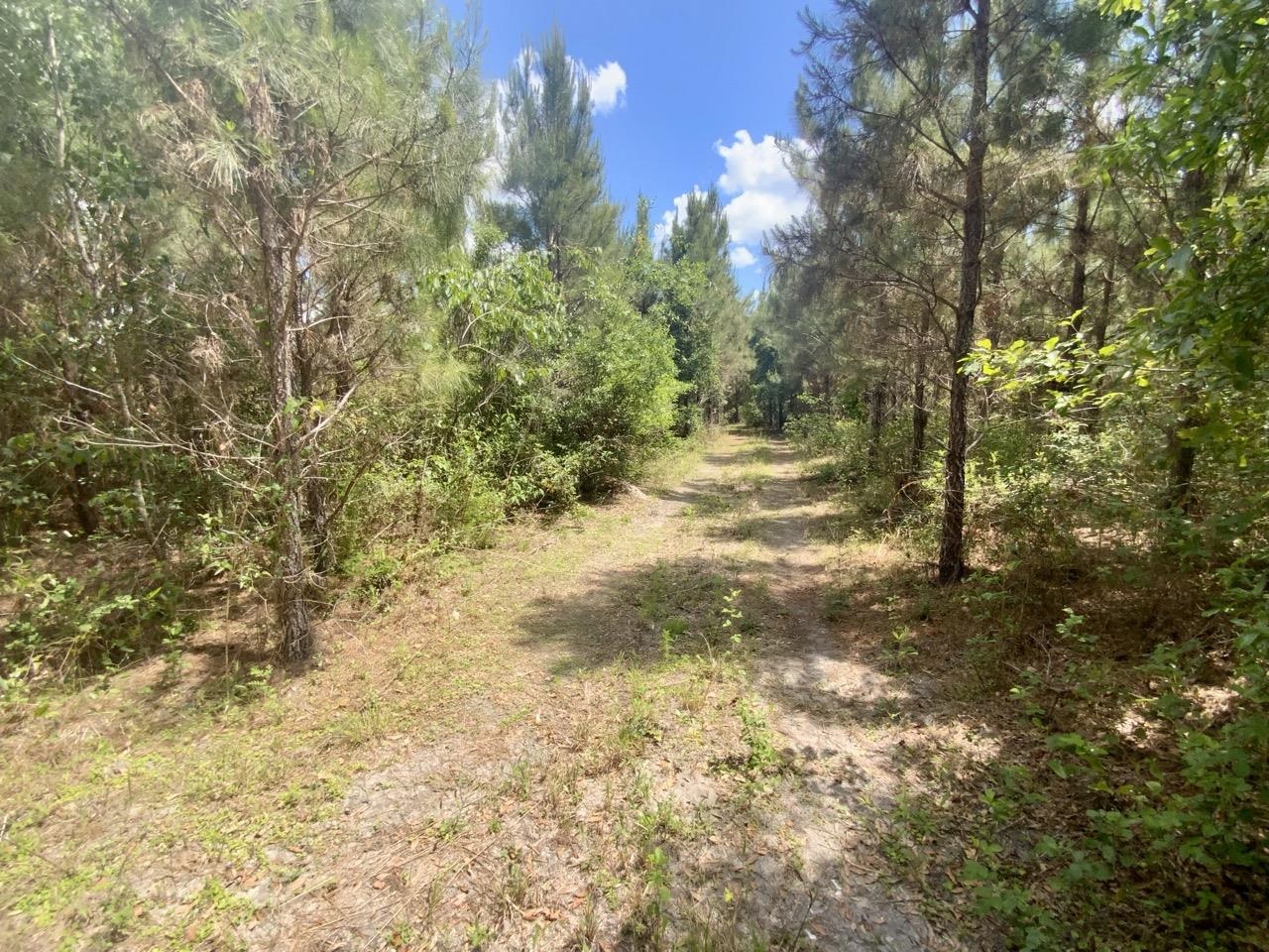 Vacant Southwest Vacant Sw Captain Brown Road Madison, FL 32340 - Photo 24 of 28 Gallery Image 24