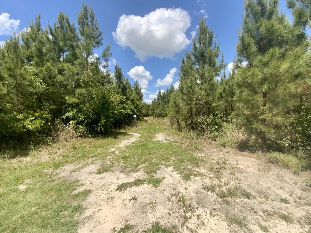 Vacant Southwest Vacant Sw Captain Brown Road Madison, FL 32340 - Photo 25 of 28 Gallery Image 25