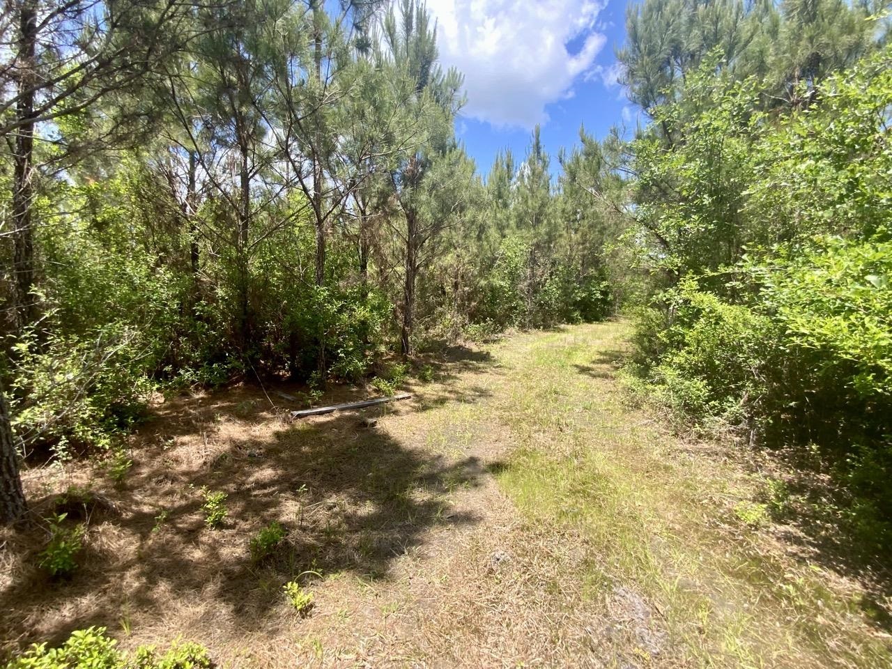 Vacant Southwest Vacant Sw Captain Brown Road Madison, FL 32340 - Photo 26 of 28 Gallery Image 26