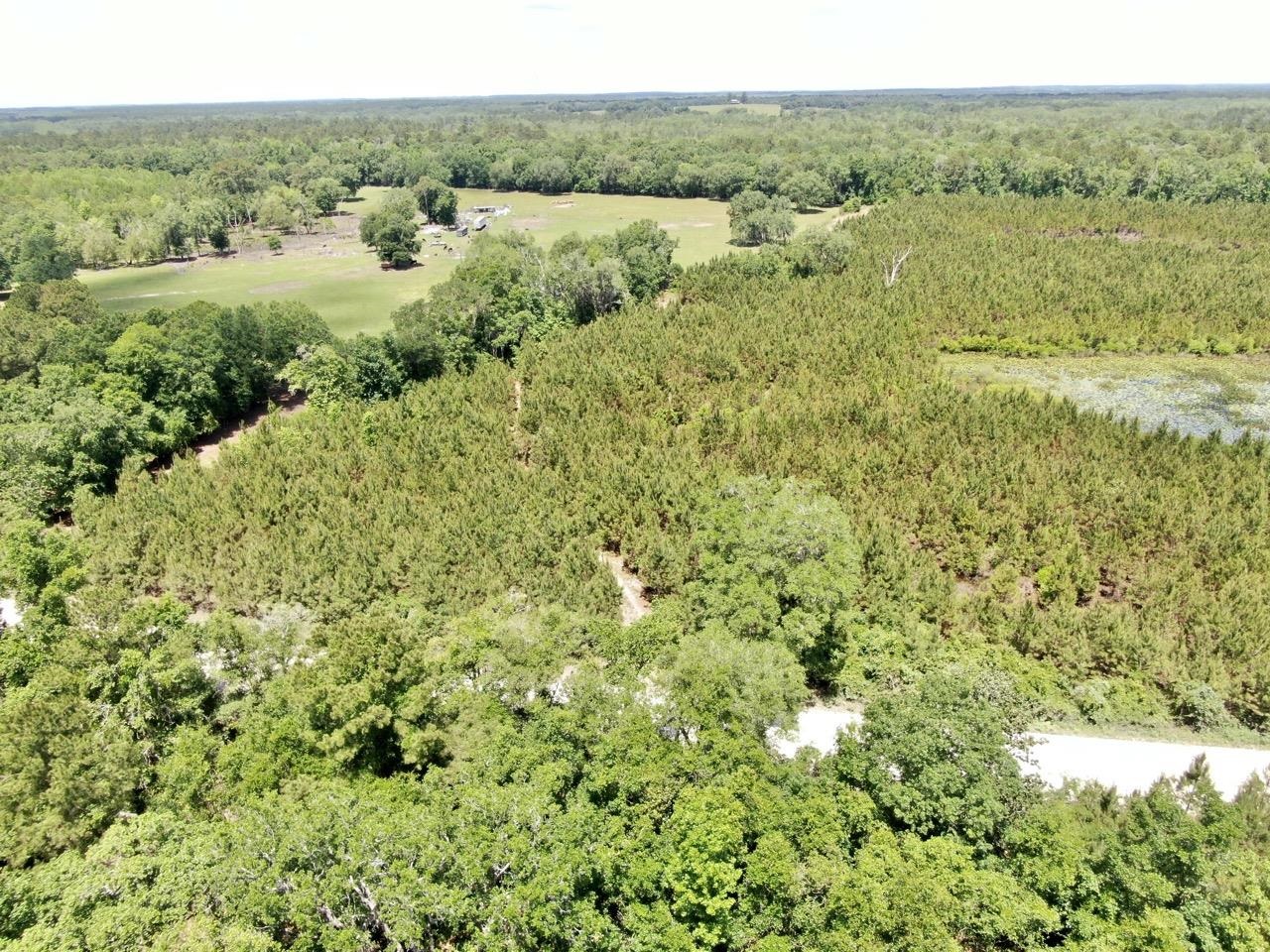 Vacant Southwest Vacant Sw Captain Brown Road Madison, FL 32340 - Photo 27 of 28 Gallery Image 27