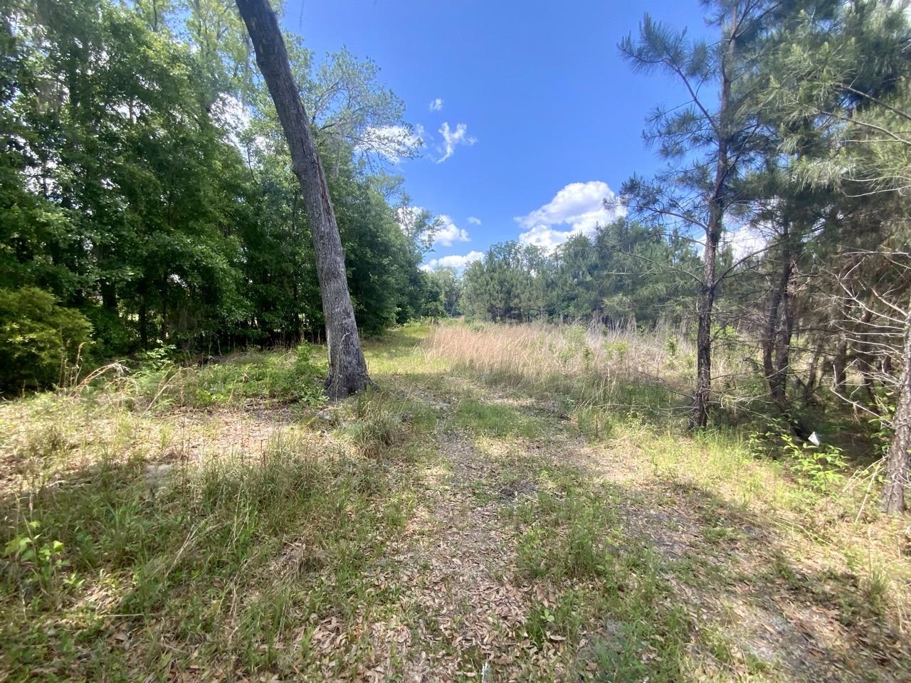 Vacant Southwest Vacant Sw Captain Brown Road Madison, FL 32340 - Photo 4 of 28 Gallery Image 4