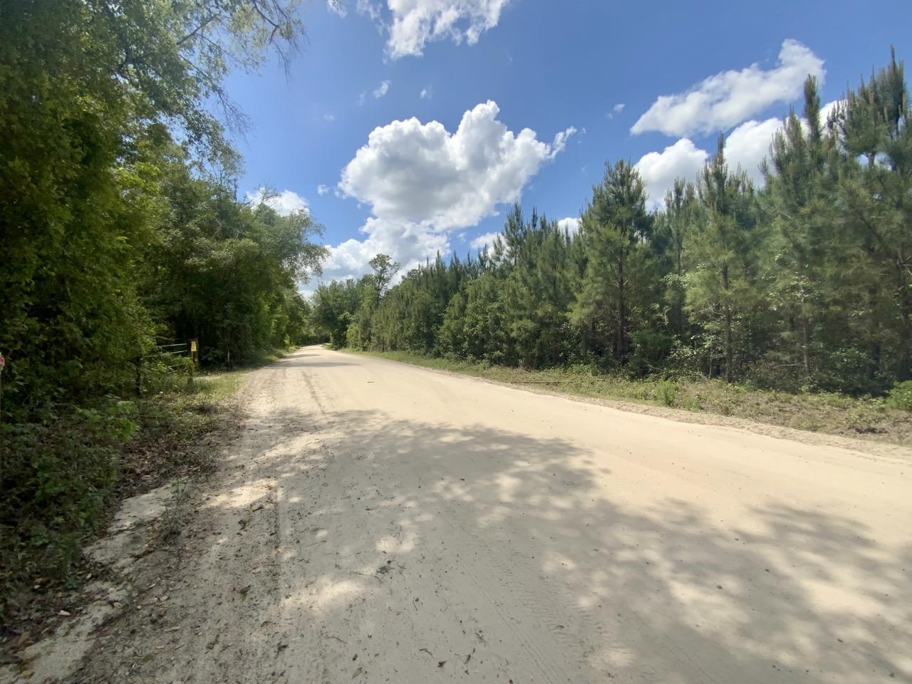 Vacant Southwest Vacant Sw Captain Brown Road Madison, FL 32340 - Photo 10 of 28 Gallery Image 10