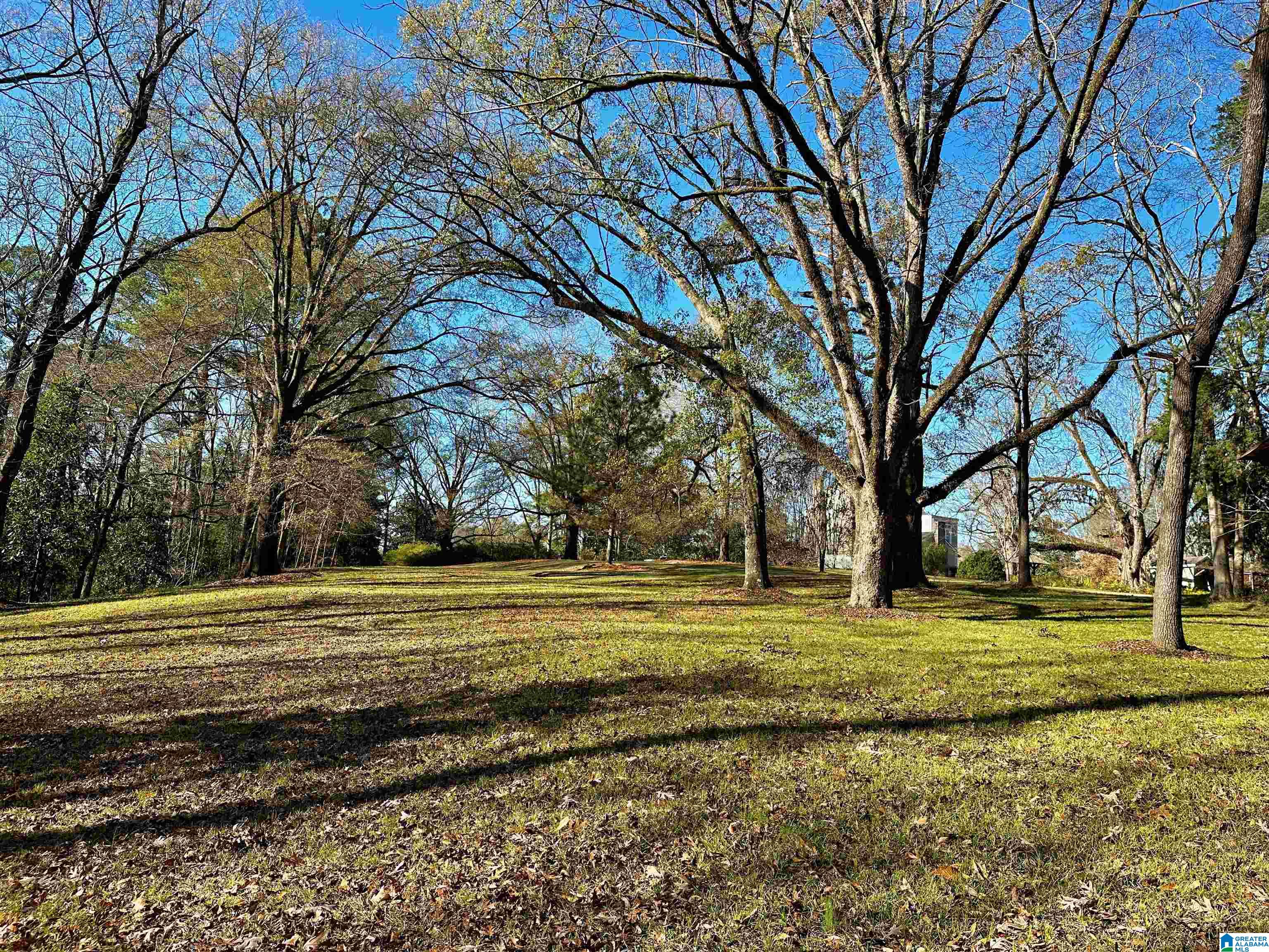 822 Mesopotamia Street Eutaw, AL 35462 - Photo 38 of 47