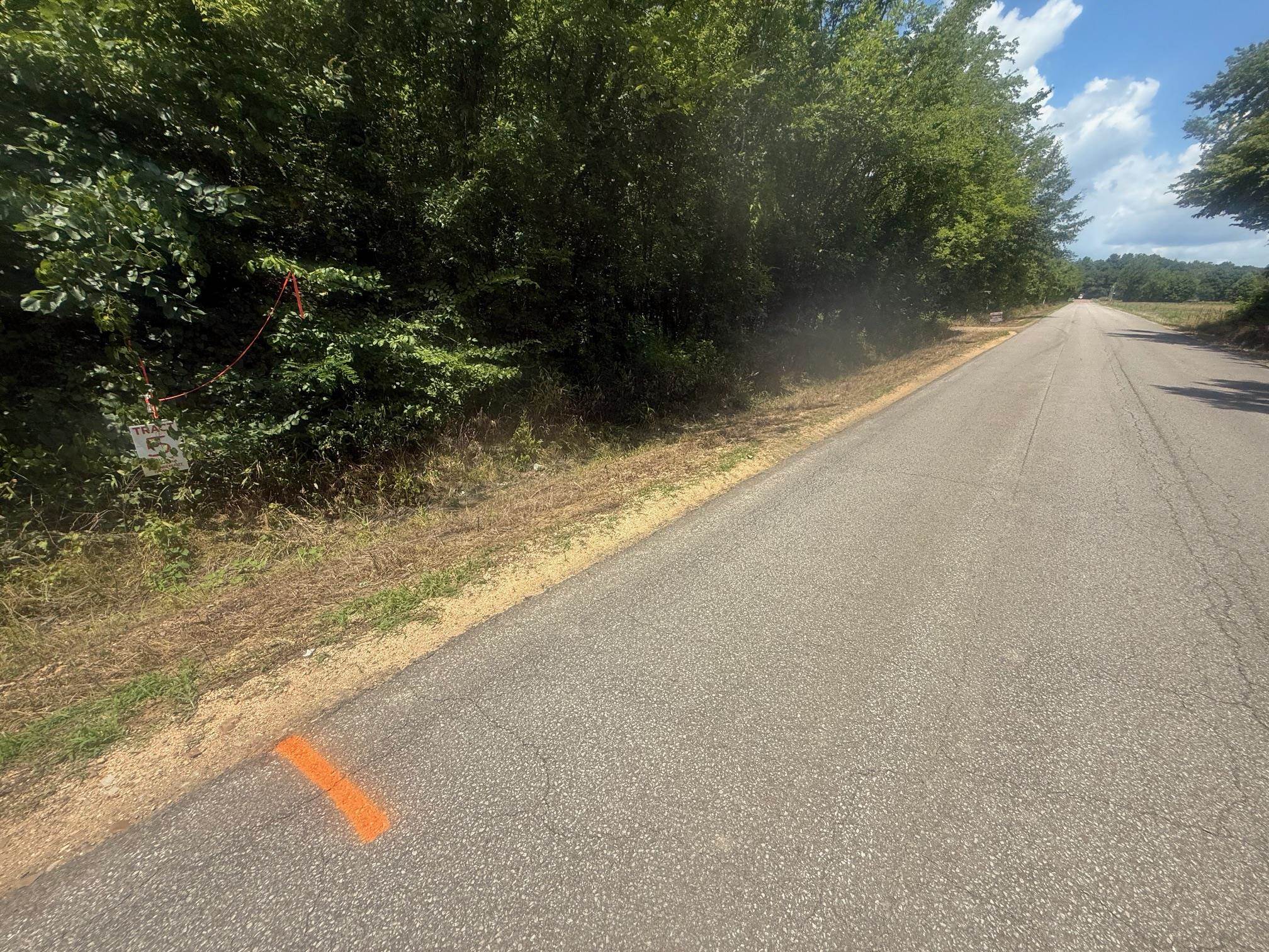 4 Coffee Landing Road Adamsville, TN 38310 - Photo 2 of 16 View of asphalt street